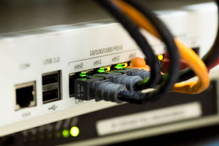 网络,电缆,以太网,计算机,技术,数字,连接,设备,规格,互联网,通信,内联网