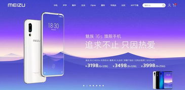 三拼米 家长帮 大五位价格被秒 终端 斑马会员 收购bm.cn 海外近期的17个终端域名销售