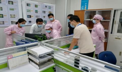 瑞谷光网与华为合作以来质量绩效连续评a,体系建设获优秀评价